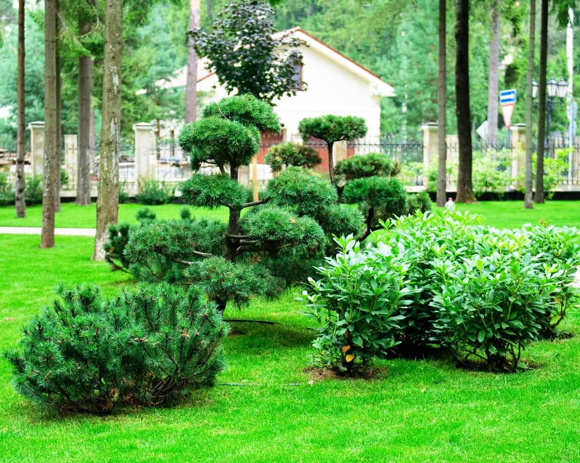 Проект Шервуд